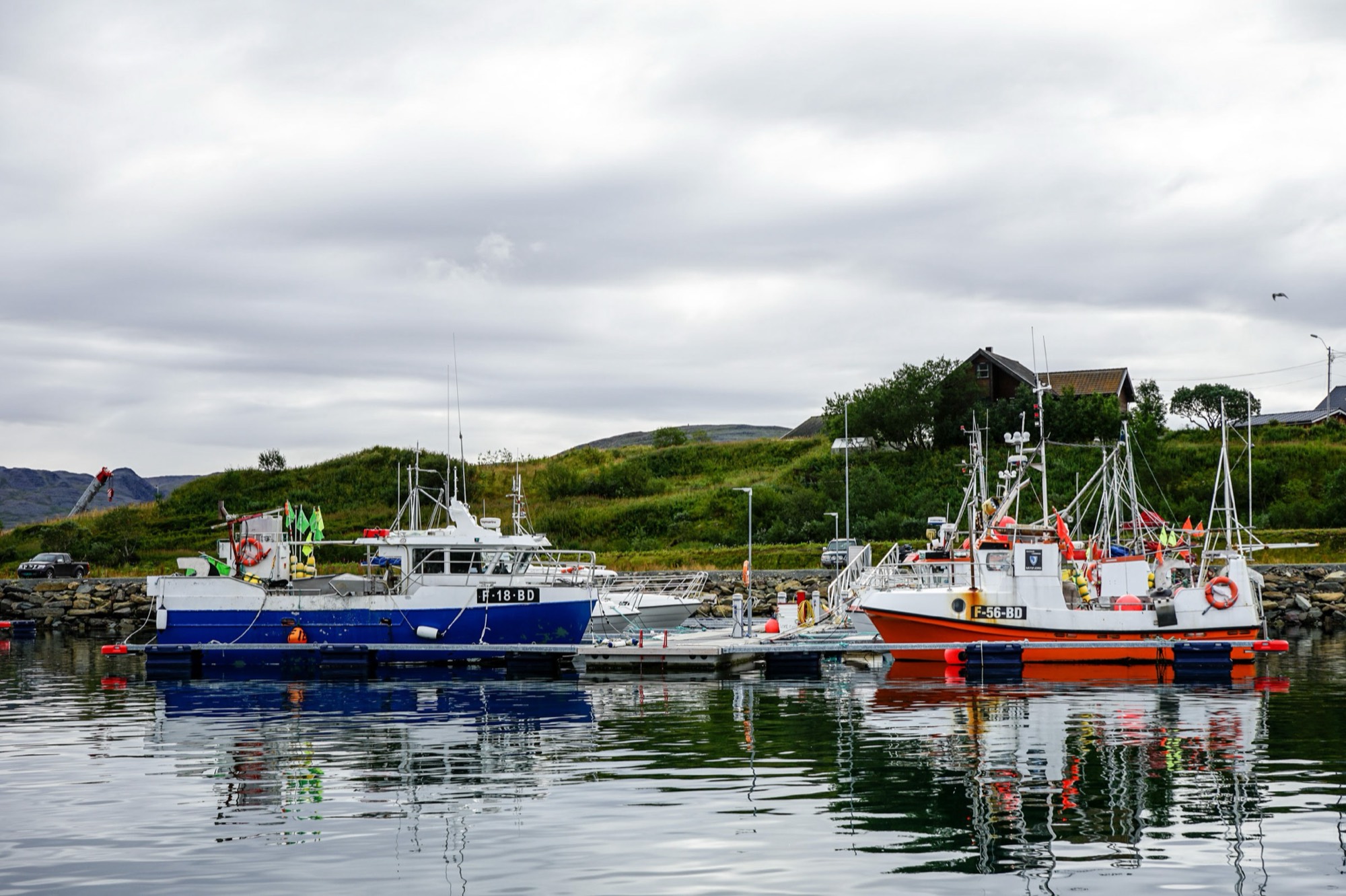 Fiskebåter fortøyd i havna i Båtsfjord en stille sommerdag