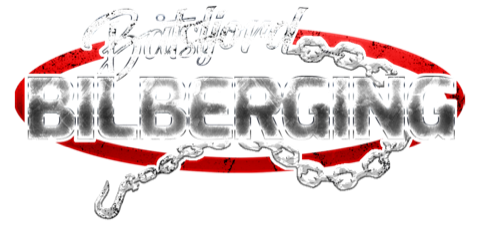 Båtsfjord Bilberging