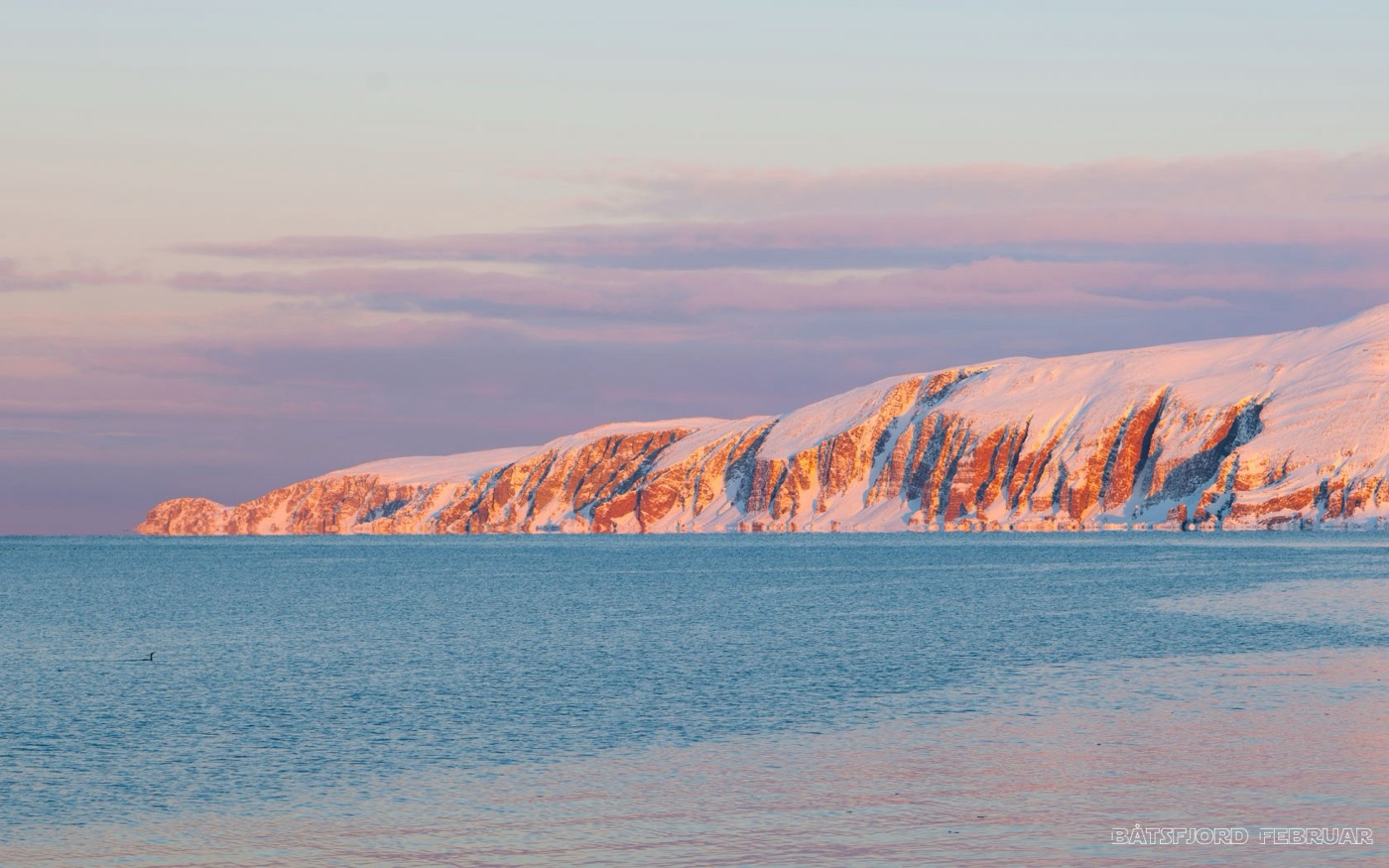 Snødekte klipper i rosa vinterlys over havet i Varanger